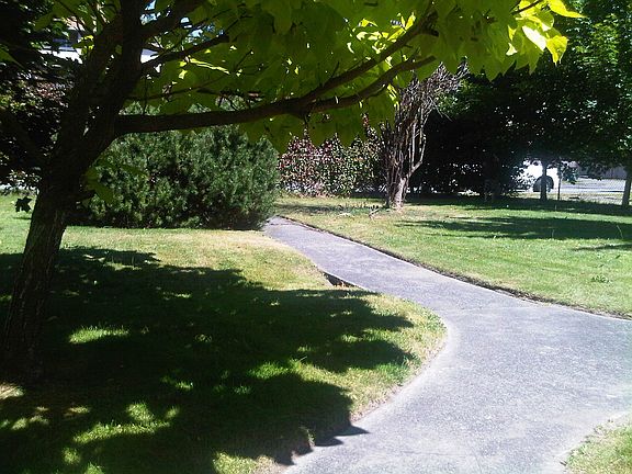 Yard