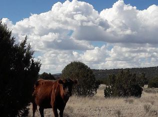 33378 W Frontera Rd, Seligman, AZ 86337