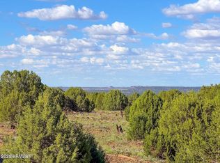 8025 Colt Ln, Show Low, AZ 85901