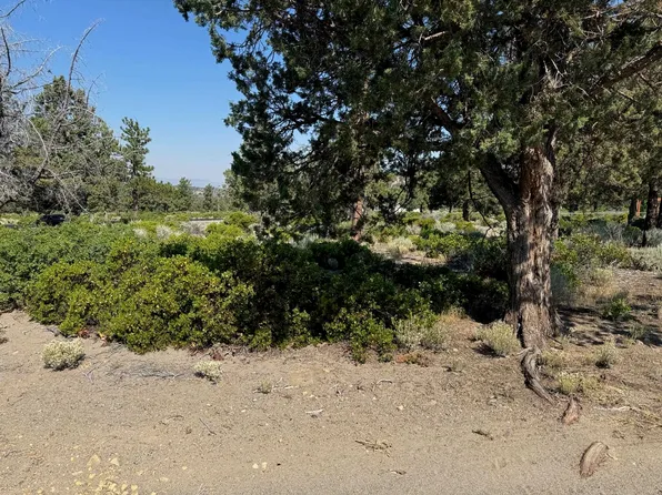 8-1 Sherwood Rd Lot 276, Weed, CA 96094
