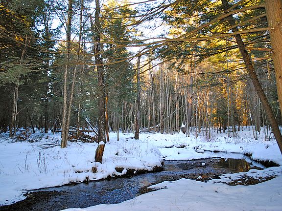 Winter View Brook
