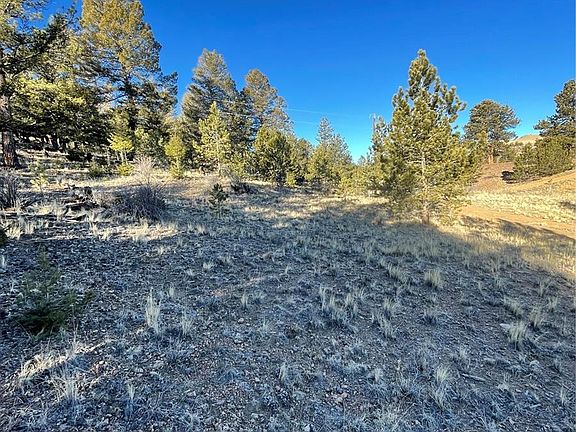 4th image of 00 Tarryall Road LOT 21