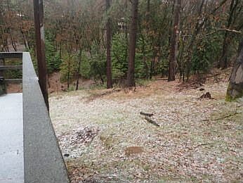 2nd image of 12564 Kevkie Ct