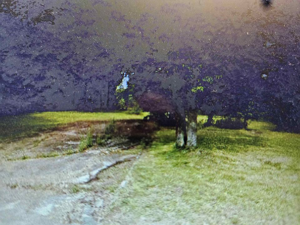 1st image of 1065 Lair Ln