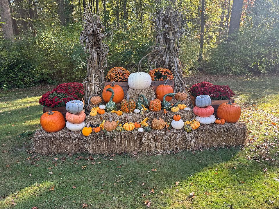 Pumpkin Patch on property