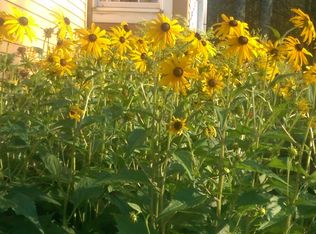 497 Brooklyn Rd, Canterbury, CT 06331