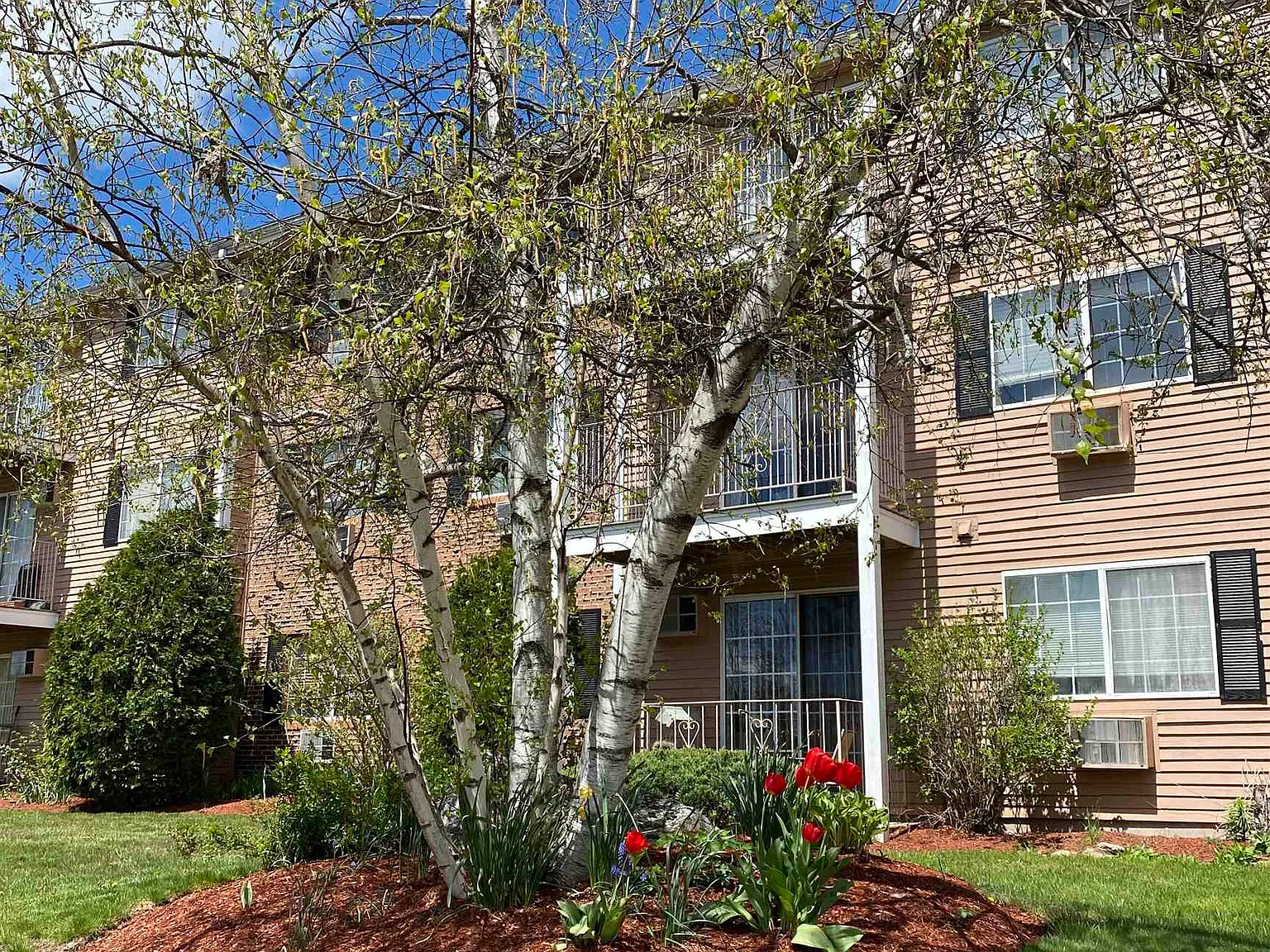 1 bed, 1.0 bath, 655 sqft, $1,849 — Photo 4