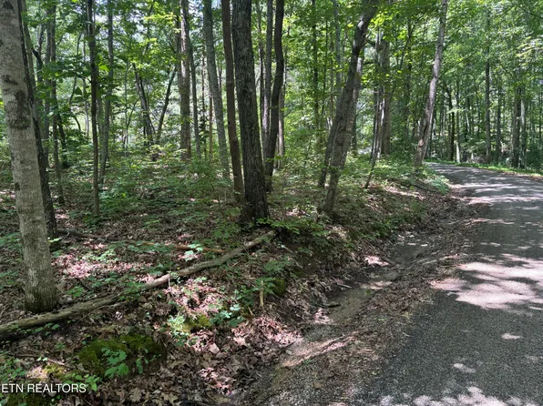 Peacock Rd, Deer Lodge, TN 37726