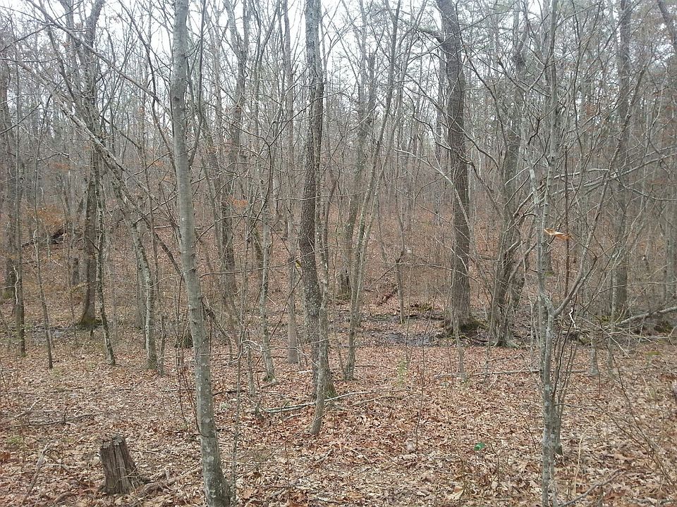 2nd image of Wolf Bridge Rd. Graysville Tn #37338