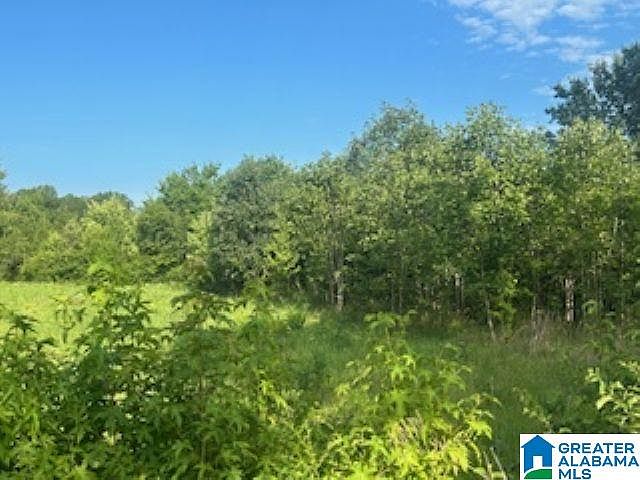 2nd image of 961 Blackerby Ln #0