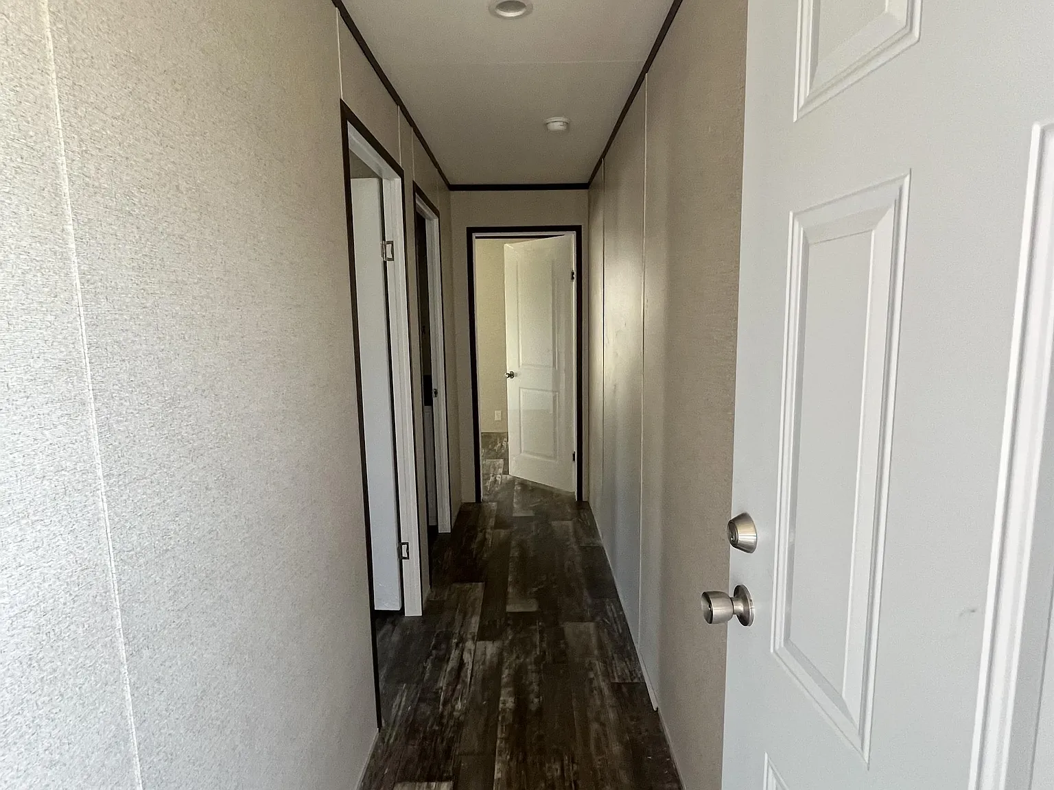 503 Cereus Drive - 1 — Photo 4