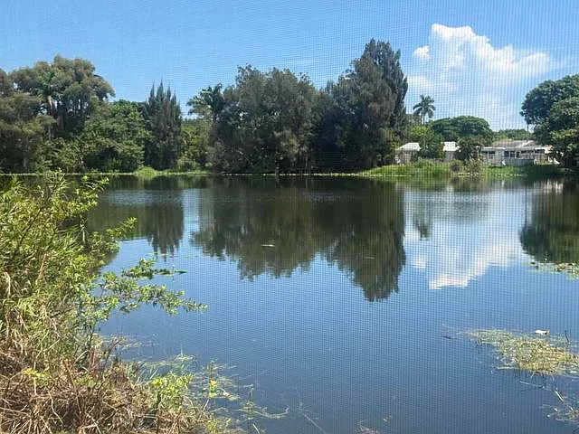 4 bed, 1604 sqft, $3,650 — Photo 1