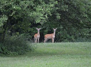 7156 Manor Ln, Fowlerville, MI 48836