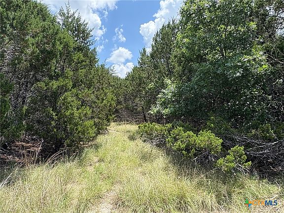 5th image of 317 County Road 3062