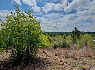 Hudson Rd, Smithville, TX 78957