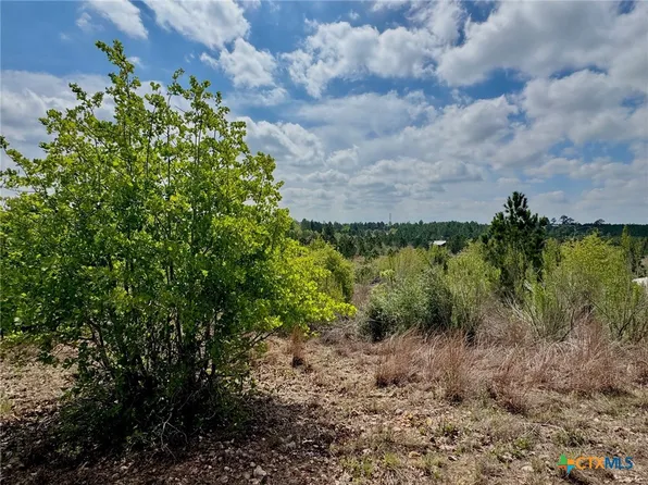 Hudson Rd, Smithville, TX 78957