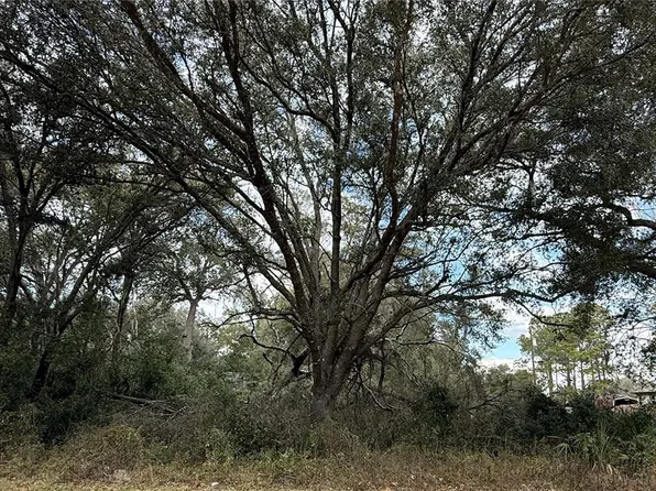 0 Hilda Rd #9, Dade City, FL 33523