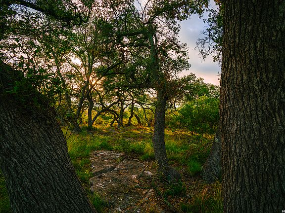 4th image of 000 Rambling Oaks Ranch LOT 5