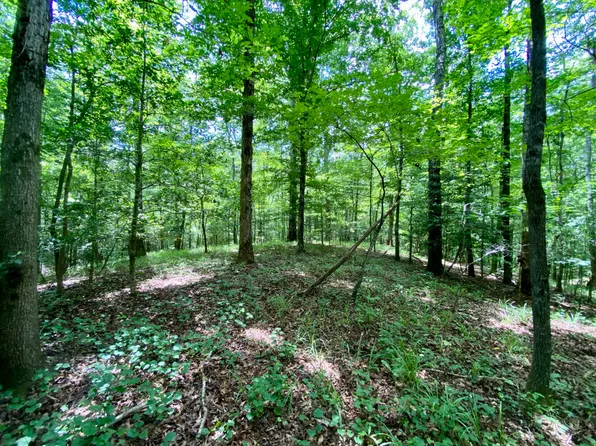 0 Lesueur Rd, Northport, AL 35475