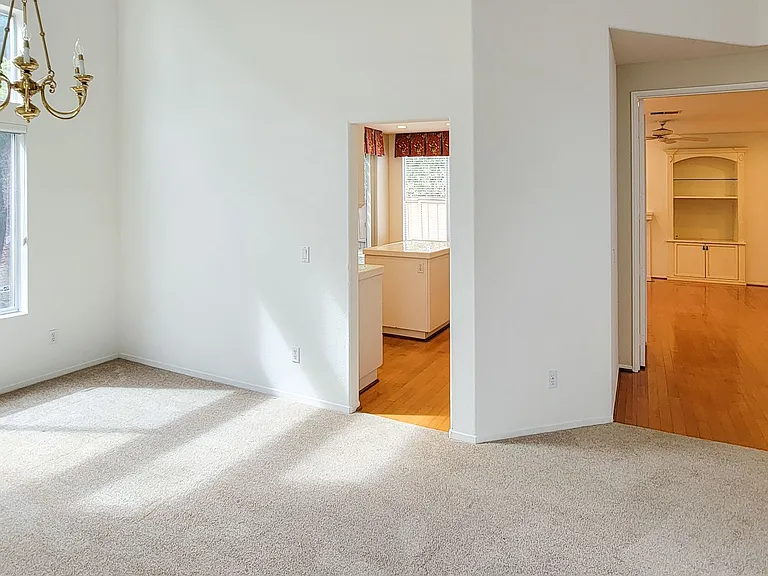 12138 Wooded Vista Ln — Photo 5