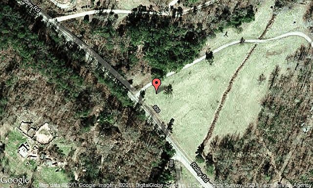 Map View
