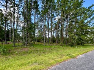 LOT 19 88th Trl, Live Oak, FL 32060