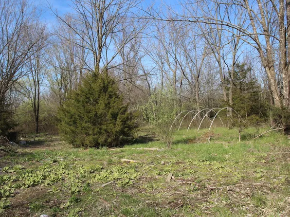 21312 County Road 273, Wheatland, MO 65779