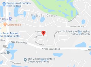 9223 Sunflower Dr, Tampa, FL 33647
