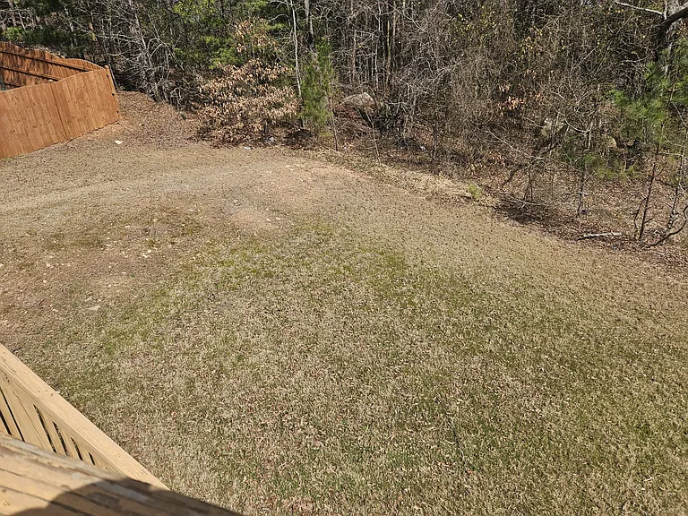Backyard from deck