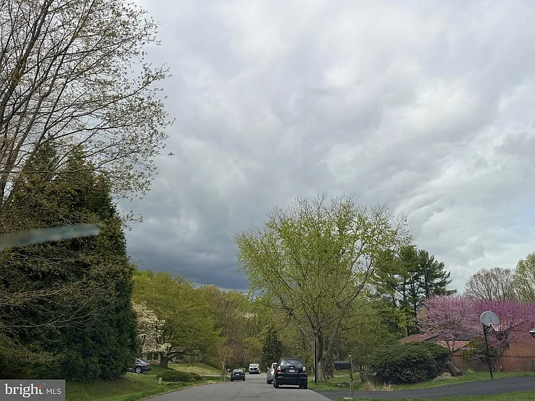 14713 Flints Grove Pl — Photo 49