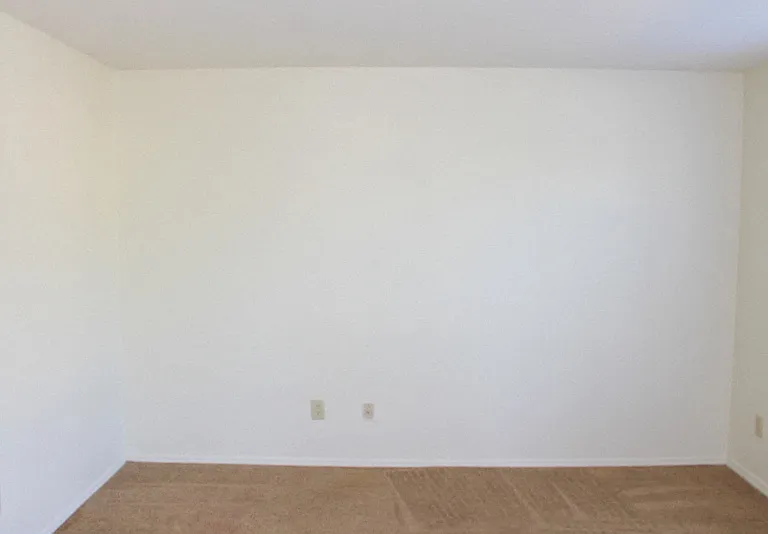 8285 Mount Carmel St — Photo 4