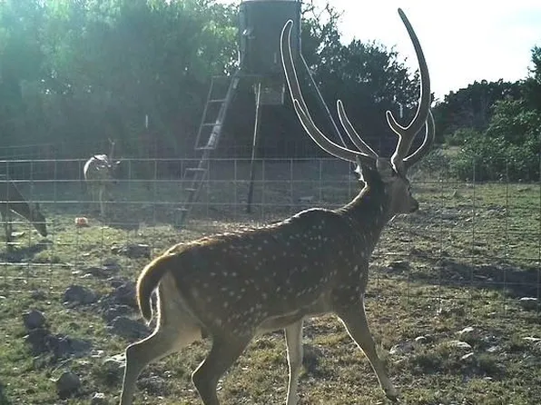 LOT 2 Highway 55, Rocksprings, TX 78880