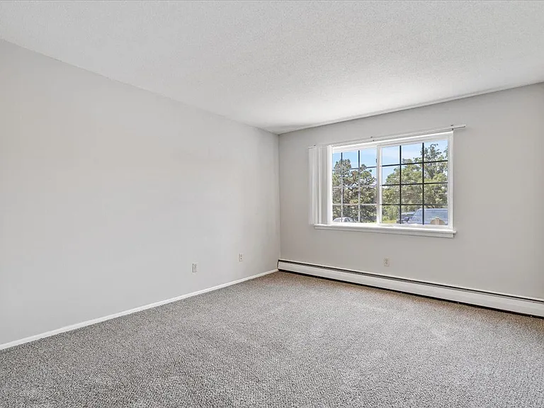 Blinds Throughout