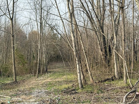 4th image of 1115 Frank Campbell Rd