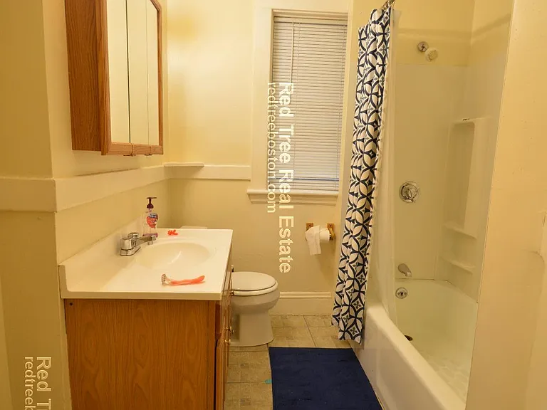 207 Chestnut Hill Ave #1 — Photo 4