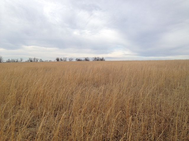 1st image of 0 W 263rd St