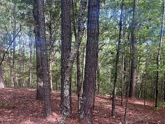 4th image of 0 County Road 70