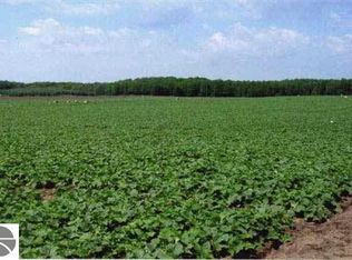 16 West Rd, Mesick, MI 49668