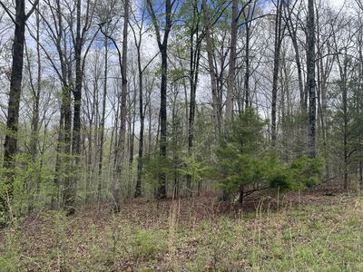 0 Eagle Creek Ct LOT 14, Nunnelly, TN, 37137