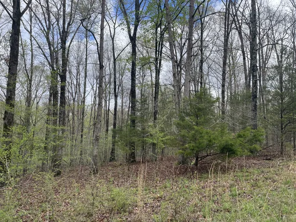 0 Eagle Creek Ct Lot 14, Nunnelly, TN 37137