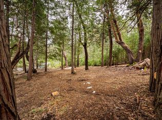 26601 Golf Links Dr, Pioneer, CA 95666