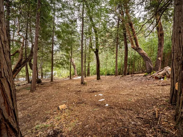 26601 Golf Links Dr, Pioneer, CA 95666