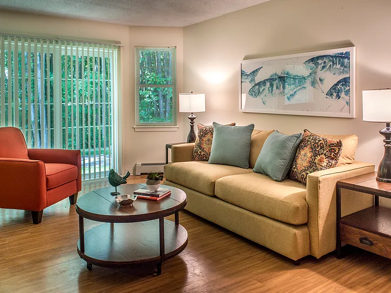 Living Room With Natural Light