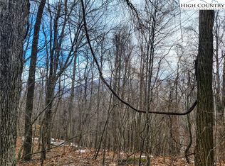 Tbd Perry Rd, West Jefferson, NC 28694