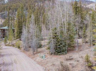 2743 Silver Coin Lane, Lake City, CO 81235