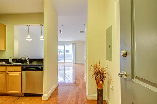 38 Maryland Ave #207 Photo 1
