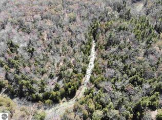 S Micheals Woods Trl, Maple City, MI 49664