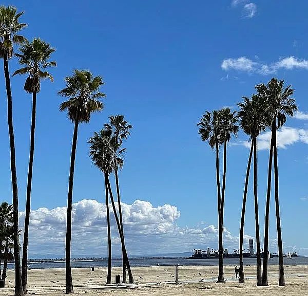 DTLB Beach
