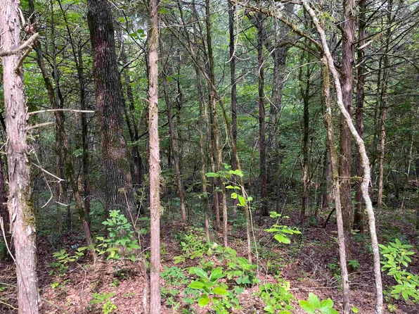 2503 Memory Ln, Horseshoe Bend, AR 72512
