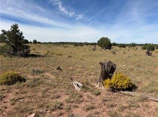 301-31 N Hyde Park Rd #313, Seligman, AZ 86337